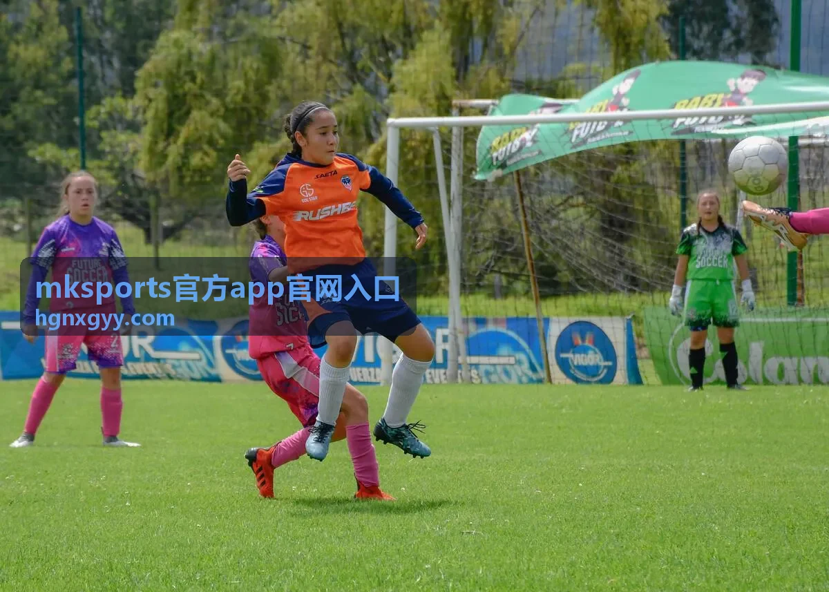 mksports官方app官网入口 淘汰赛封面